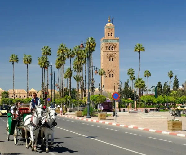 Captivating Marrakech Tour Guide revealing treasures beyond medina